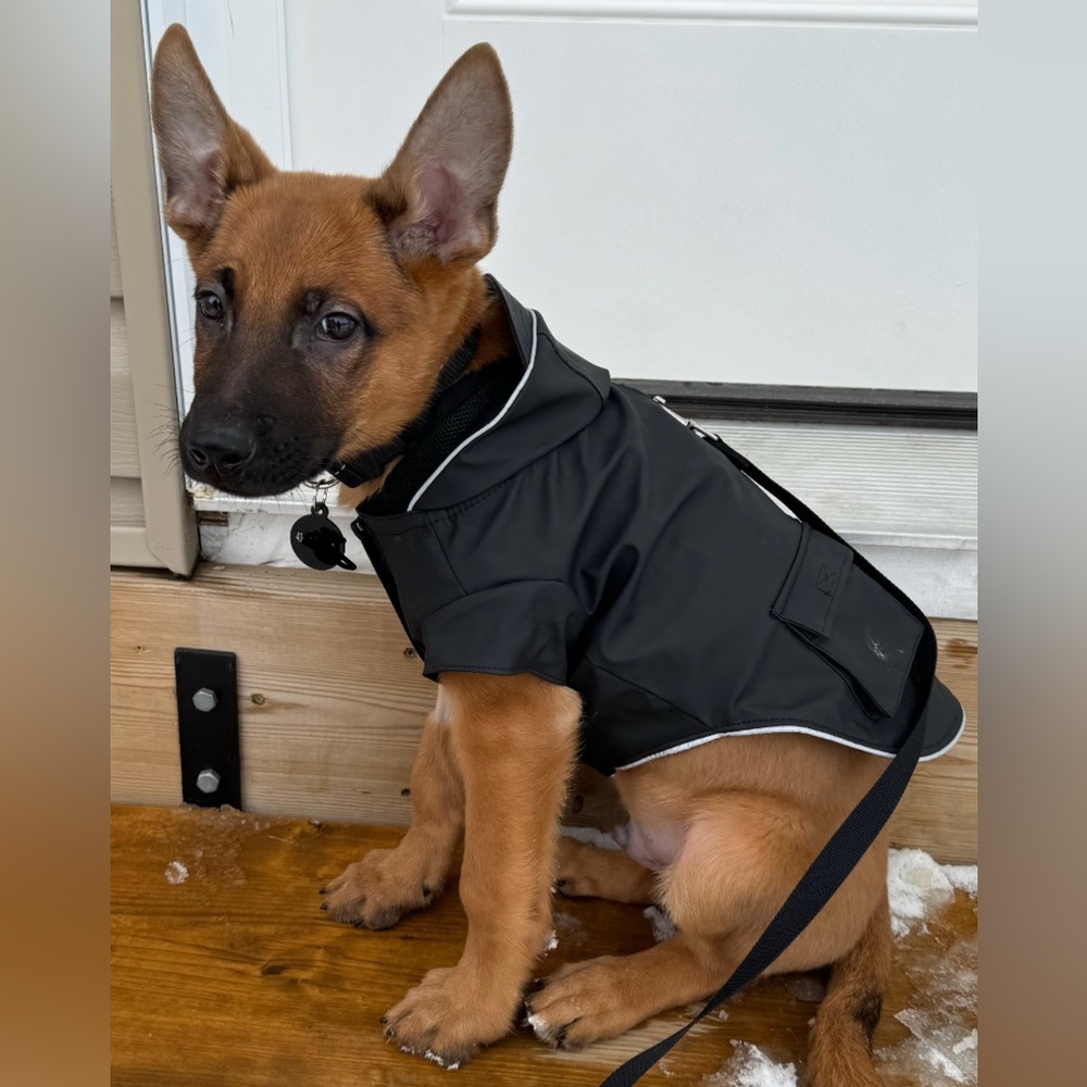 Canada Pooch Dog Coat - Torrential Tracker